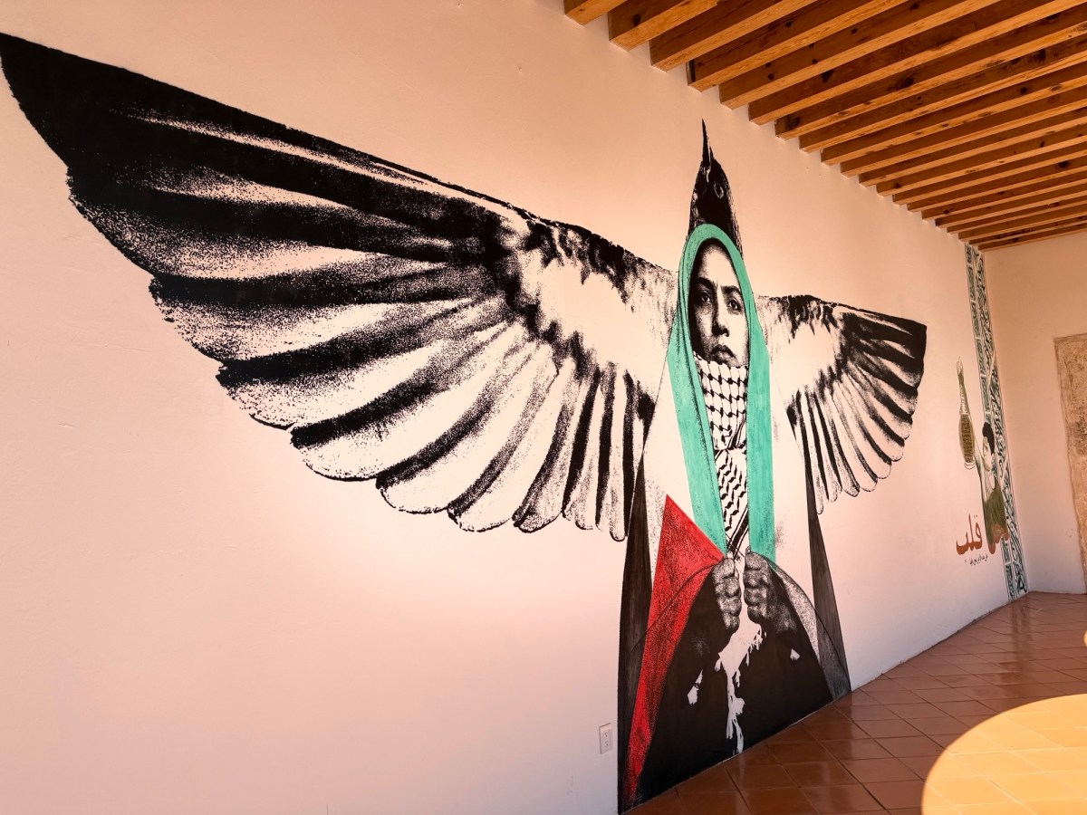 Museum of Contemporary&nbsp;Art