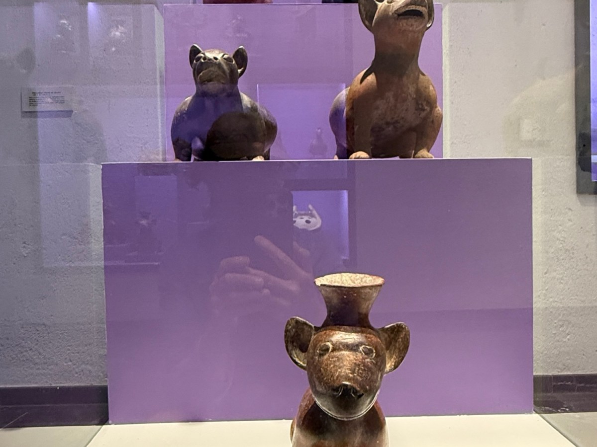 Old and new treasures on my last&nbsp;day